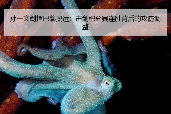 孙一文剑指巴黎奥运：击剑积分赛连胜背后的攻防调整