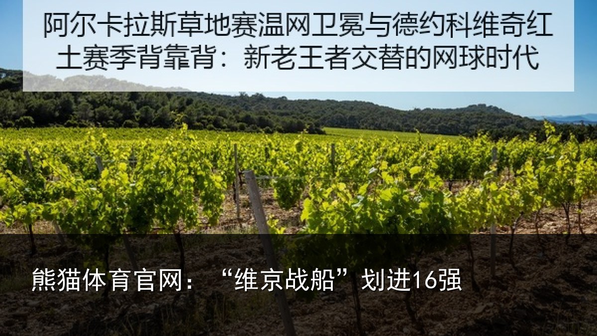 熊猫体育官网：“维京战船”划进16强