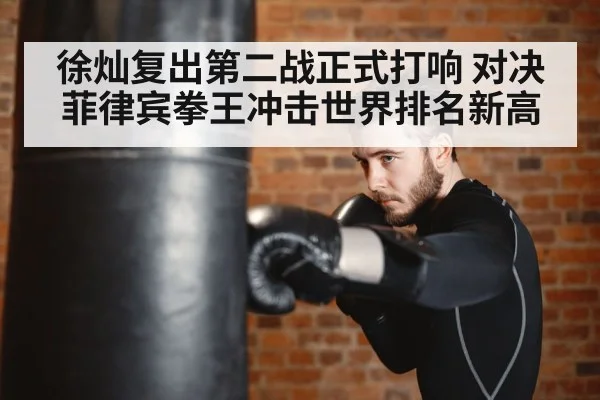 boxer training punching bag
